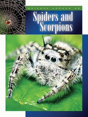 cover image of Spiders and Scorpions